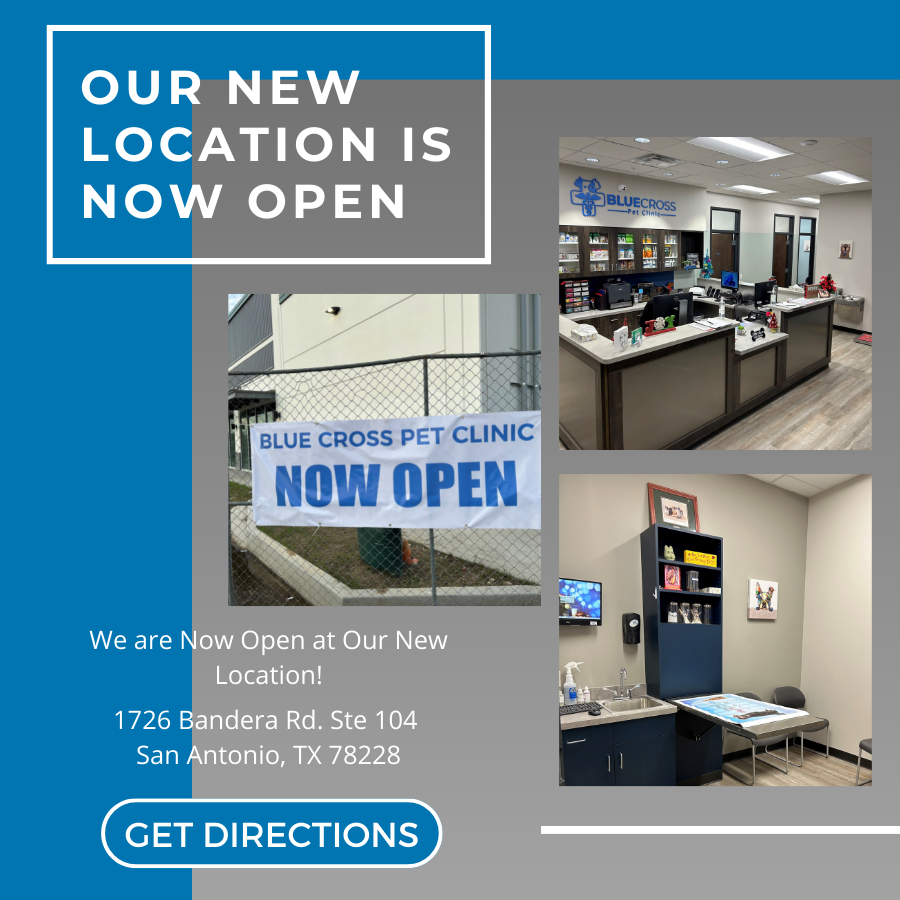 Veterinarian in San Antonio, TX 78228 Blue Cross Pet Clinic