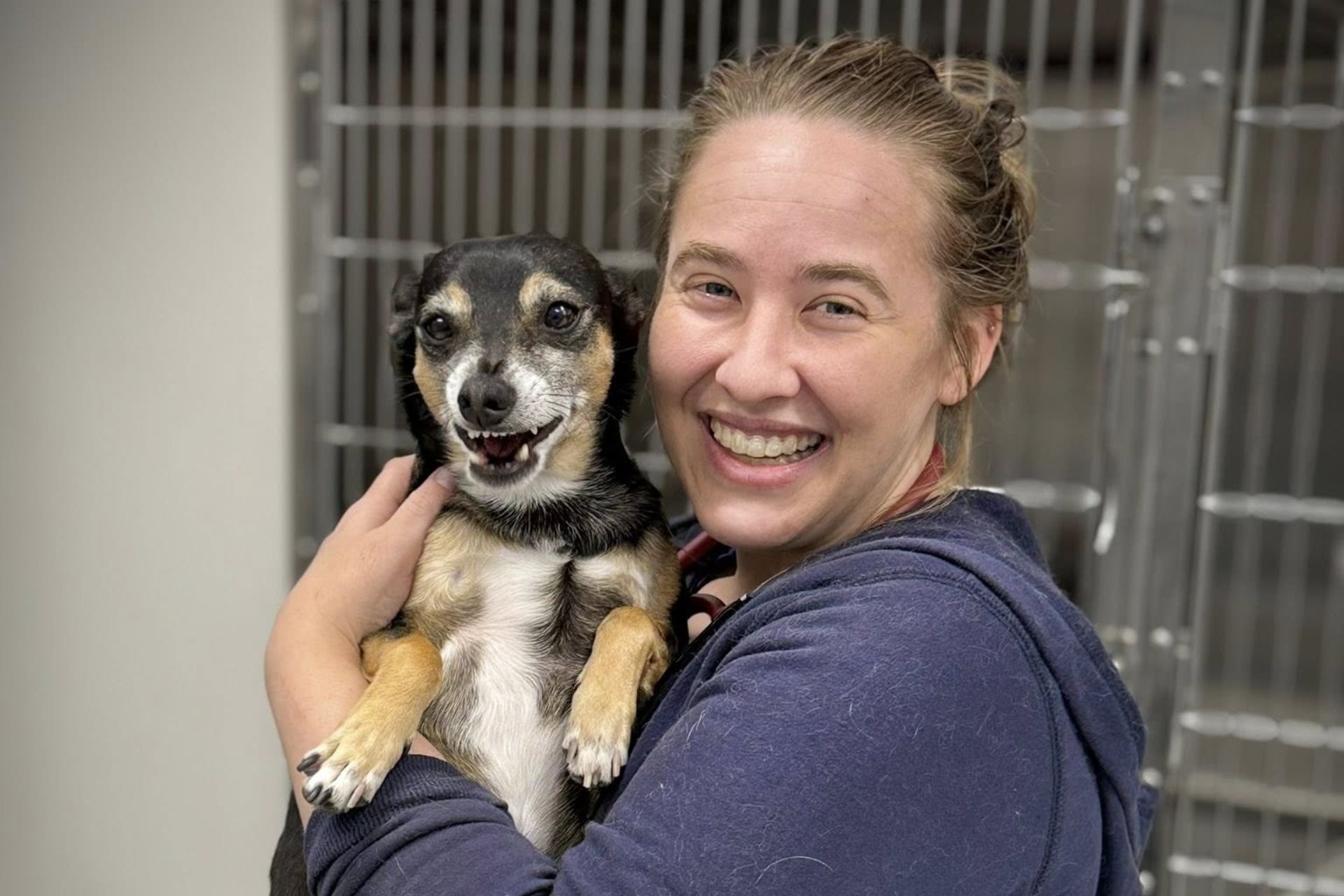 vet staff holding a dog