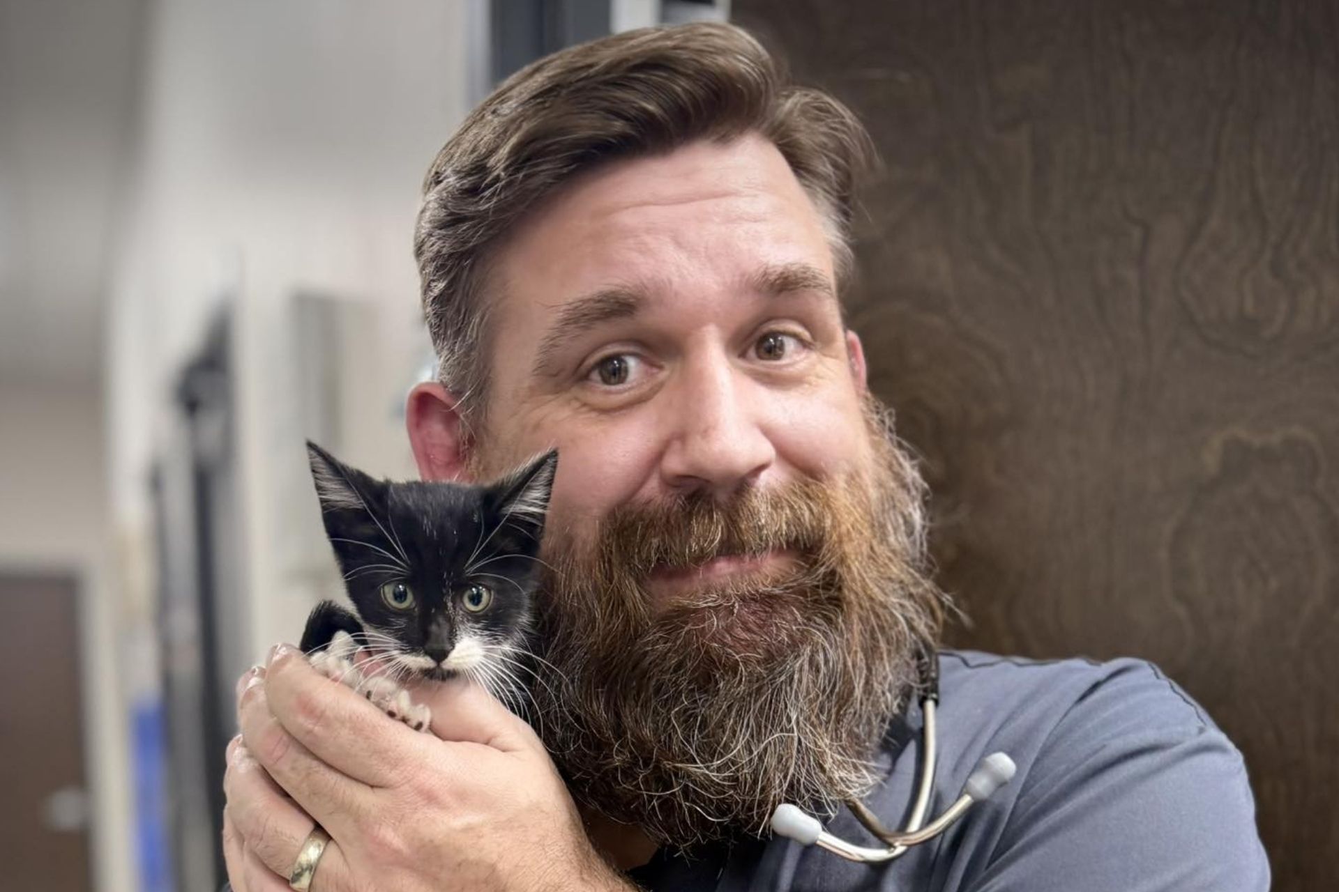 vet staff holding a kitten