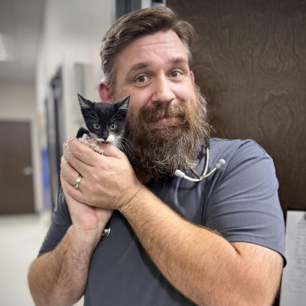 vet staff holding a kitten