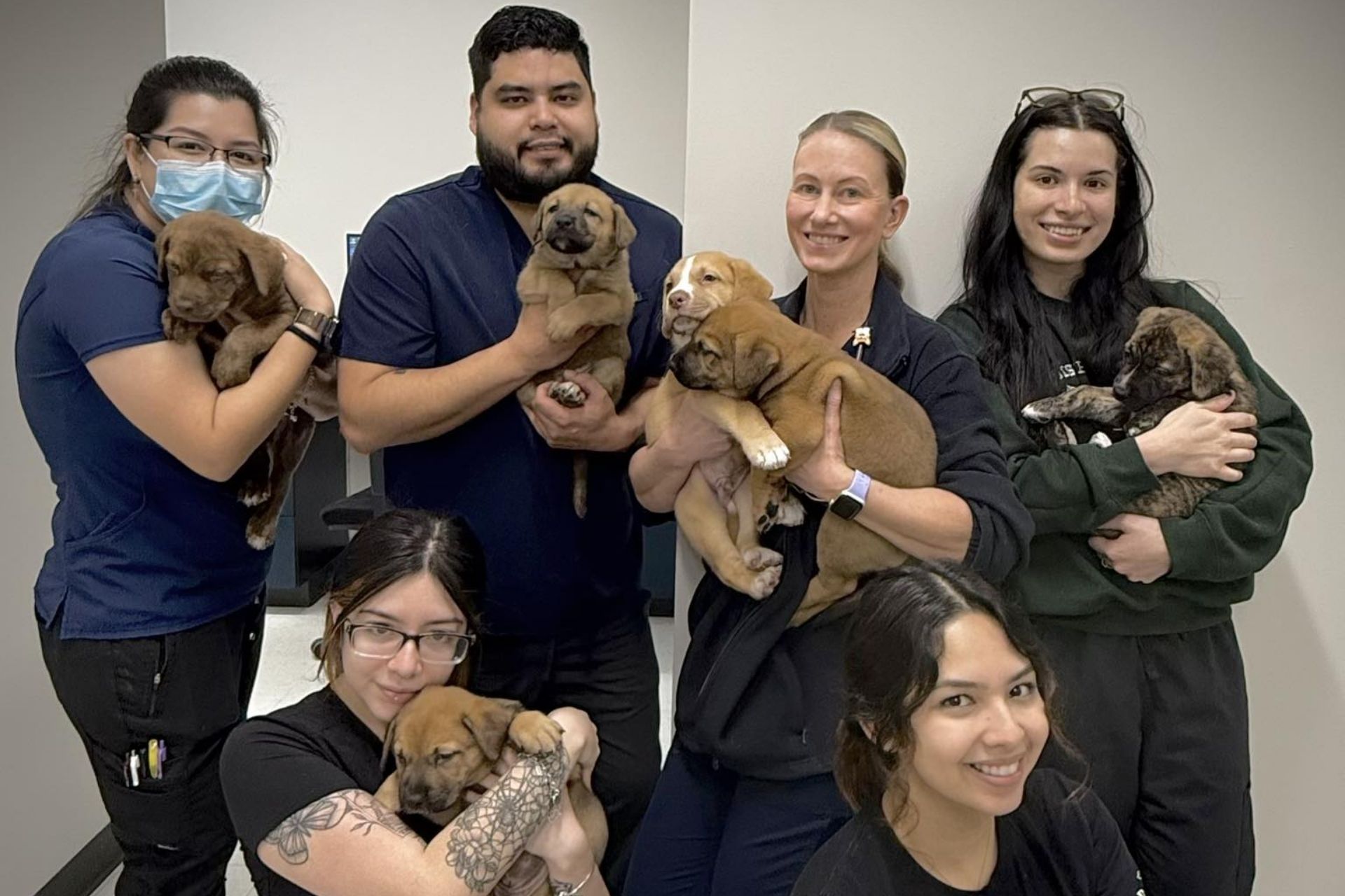six vet staff holding puppies