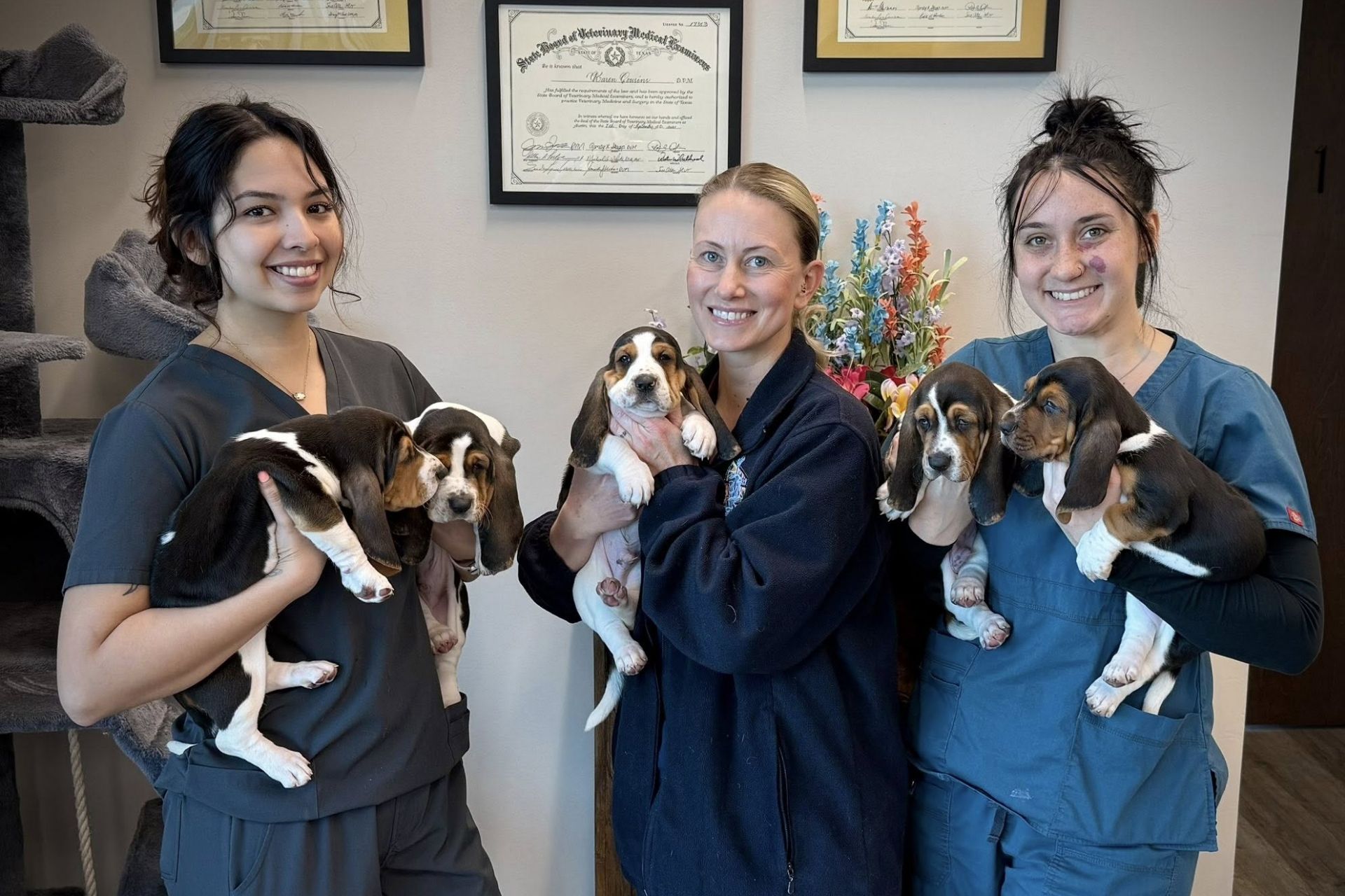 three vet staff holding puppies