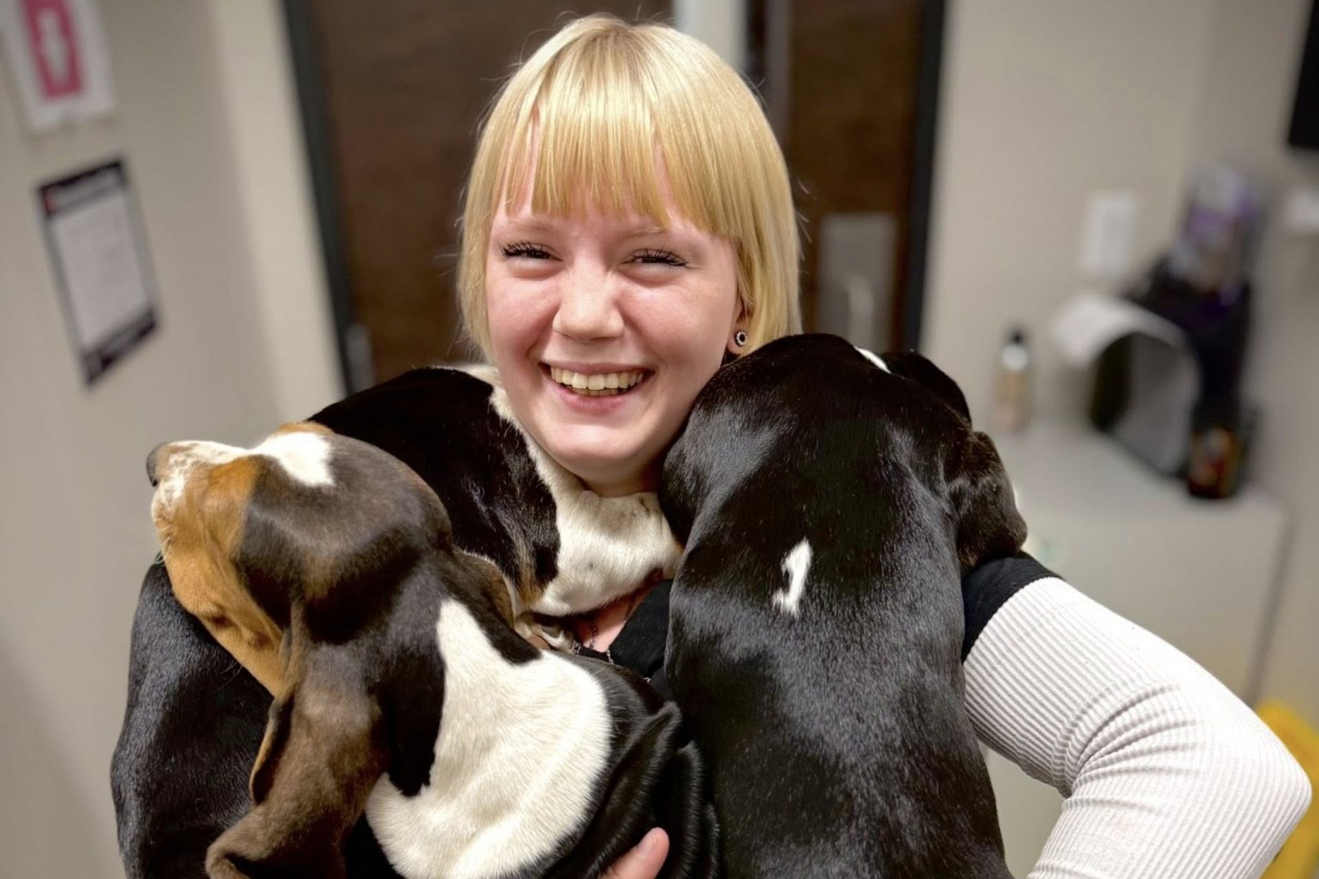 vet staff holding two dogs