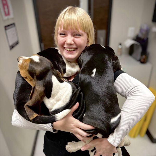 vet staff holding two dogs